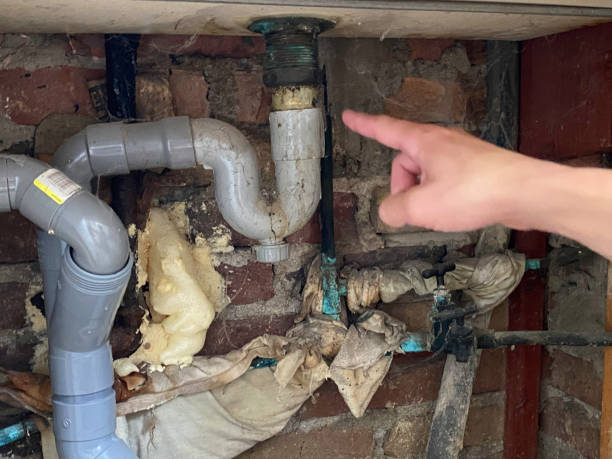 Best Water damage restoration near me  in West Park, FL