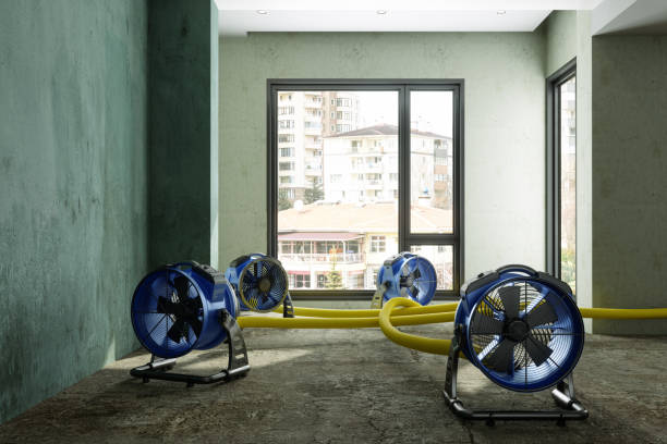 Best Local water damage restoration  in West Park, FL